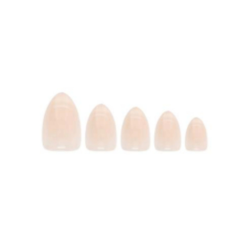 W7 - Unghie finte Glamorous Nails - Champagne Fizz