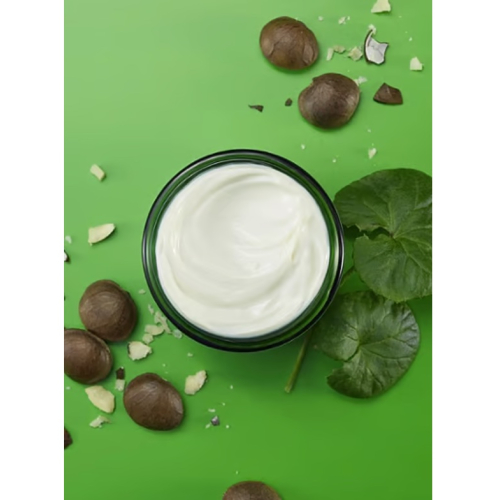 Weleda - Crema da notte Skin Food